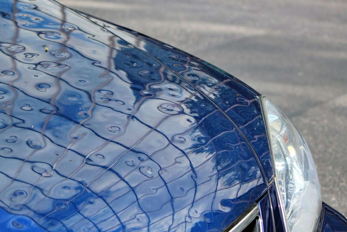 Blue Car with Hail Dents in the Hood