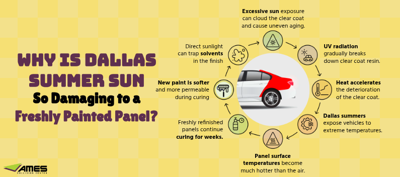 Why Is Dallas Summer Sun So Damaging to a Freshly Painted Panel